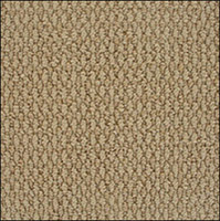 Looped Carpet Page